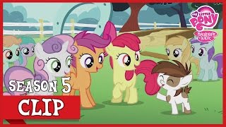 President Pipsqueak  Diamond Tiaras Mom Crusaders of the Lost Mark  MLP FiM HD [upl. by Llen]