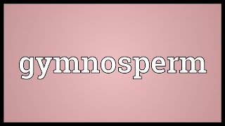 Gymnosperm Meaning [upl. by Notffilc]