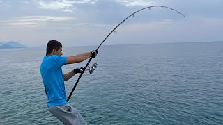 AMBERJACK 17kg from shore  Gof Ricciola shorejigging amberjack Μαγιάτικο [upl. by Greenleaf302]