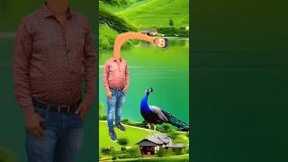 Artificial peacock water transport to rescue drought special effects funny shorts comedy [upl. by Nayek]