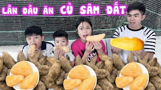 Lần Đầu Ăn Củ Sâm Đất Ngâm Nước Đá Mát Lạnh trangandvinhtv [upl. by Nnaeiluj11]