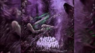 Infant Annihilator  Blasphemian NEW 2016 w LYRICS [upl. by Gibb]