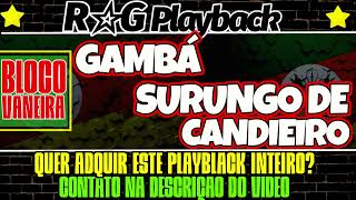 PlayBack  Gambá  Grupo Portal GauchoSurungo De Candeeiro  João Luiz Correa [upl. by Ayhtnic726]