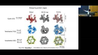 Designer proteins for stem cell engineering [upl. by Iong]