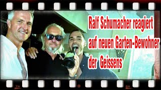 Die Geissens Robert Geiss zeigt neuen Freund Ralf Schumacher reagiert sofo Fans sind entsetzt [upl. by Olraced749]