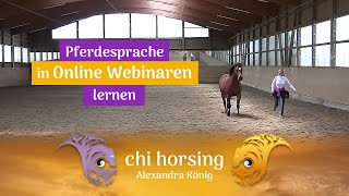 Pferdesprache in Webinaren lernen quotChi horsing®quot [upl. by Inoj]