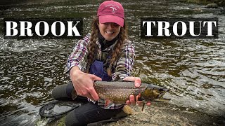 Fishing for Trout in Algonquin  An Early Spring Day in the Park [upl. by Ashraf]