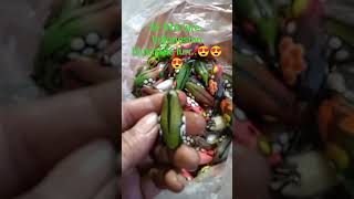 soft frog INA lure Indonesian handmade lure😍😍😍 [upl. by Lema372]