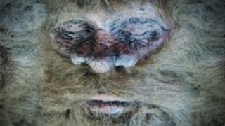 Bigfoot Found and Killed [upl. by Thorncombe]