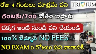 రోజు 4 గంటలు ఇంటి నుండి పని  Work From Home Jobs in Telugu  Fresher Jobs  Tech Guruvu [upl. by Merrile]