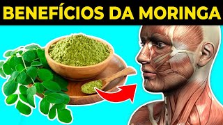 10 BENEFÍCIOS da MORINGA que você NUNCA ouviu falar [upl. by Ydassac]