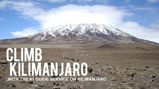 Ultimate Kilimanjaro  The 1 Guide Service on Kilimanjaro [upl. by Laroy]