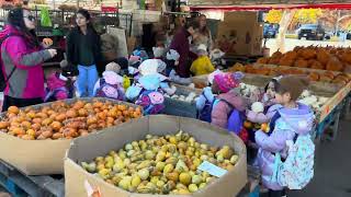 Canada Montreal Jean Talon Market [upl. by Emirak]