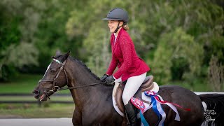 American Eventing Championships  Novice Show Jumping  Madison Ritsch amp Taylamor Penelope [upl. by Scholem661]