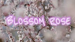 Buy Me VeeBlossom Rose Official Theme [upl. by Hajed]