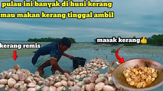 Berpetualang Ke Tepian pantai Mencari kerang Remis‼️ Dapat banyak kerang Remismasak kerang remis [upl. by Kcorb84]