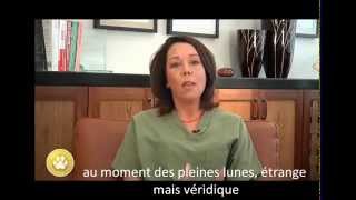 Epilepsie crises convulsives chez le chien Dr Karen Becker SousTitres Fr [upl. by Llenroc]