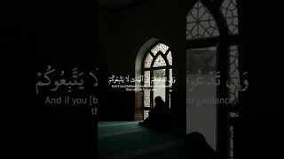 القارئ  ياسر الدوسري [upl. by Ahsenek218]