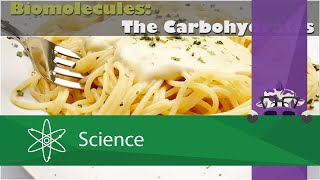 Biomolecules The Carbohydrates [upl. by Asuncion]