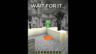 Proboiz WITHER CREEPER Explosion in Minecraft [upl. by Philine709]