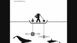 David Rothenberg  Whale Music [upl. by Ellered]