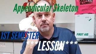 Appendicular SKELETON Lesson First Semester [upl. by Joan]