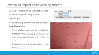 PRIMER Pedestrian Additional Enhancements LSDYNA Automotive Workflow Crash and Safety [upl. by Nekcarb540]