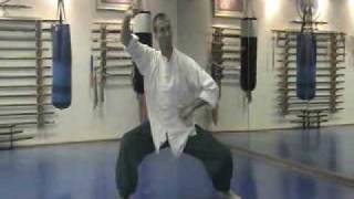 Chen Style Taijiquan  xin jia yi lu [upl. by Moreville]