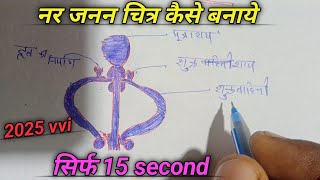 नर जनन का चित्र कैसे बनाये सिर्फ 15 सेकंड how to nar Janan ka Chitra kaise banaen sirf 15 second [upl. by Idnic]