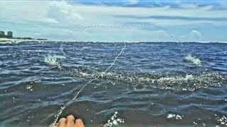 Pesca com tarrafa na praia no mar atum [upl. by Akeenahs]