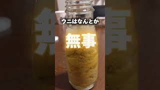 岩手産の高級生ウニ！ミョウバン不使用の鮮度抜群！ [upl. by Iruahs]