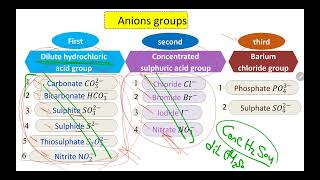 sec 3 ch 2 part 1 qualitative analysis main point [upl. by Burd]