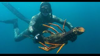 Spearfishing NZ  Crays  Cod  Butters and more [upl. by Yekim]