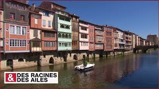 Castres  son histoire se lit dans ses façades [upl. by Beffrey]