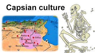 The Capsian culture  Maghreb in Mesolithic and Neolithic c8000 – c2700 BC [upl. by Goodard616]