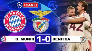 Bayern Münih 10 Benfica  Şampiyonlar Ligi Canlı Yayın [upl. by Prudi]