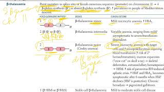 15 Thalassemias  Alpha Thalassemia and Beta Thalassemia  USMLE STEP 1 [upl. by Nalniuq338]