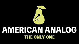 The American Analog Set  The Only One Karaoke [upl. by Gentilis]