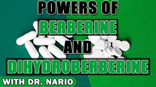 Powers of Berberine and Dihydroberberine [upl. by Yesdnil]