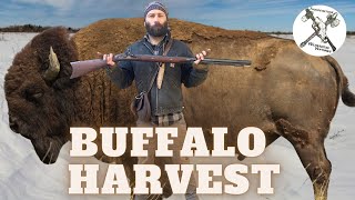 Flintlock Bison Harvest in Wyoming [upl. by Gnoud]