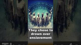 African captives chose to drown to escape slavery shorts facts history [upl. by Thorley]