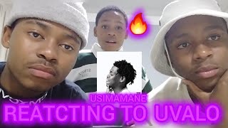 SJAVA WENT NUTS 🫢 USIMAMANE  UVALO FT SJAVA REACTION🔥 [upl. by Gant]