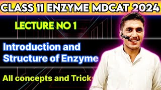 Enzyme  Lecture no 1  Introduction and Structure of Enzyme  All concepts  MDCAT2024 [upl. by Enilemme]