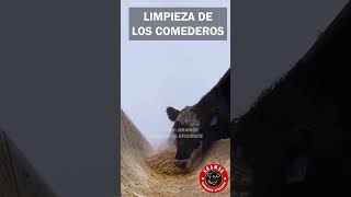 Limpiar los comederos de nuestro ganado es obligatorio corral comedero ganado rancho pecuaria [upl. by Czarra]