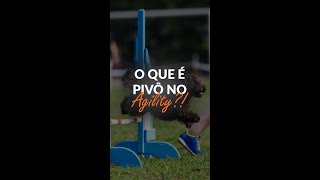 Agility o que é PIVÔ 🐾  Adestramento Grátis  Cão Guardião [upl. by Ahtanamas]