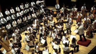 Gustav Mahler Symphony No 9 4th Movement [upl. by Spracklen]