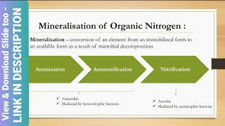 Mineralization of Organic Nitrogen  Soil Science Arun Katyayan [upl. by Shum381]