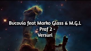 Bvcovia feat Marko Glass amp MGL  Praf 2 versuri [upl. by Annaek]