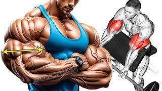 Biceps and Triceps Workout For Bigger Arms [upl. by Eelnodnarb]