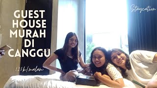 Rekomendasi Guest House Murah di Canggu  vlog [upl. by Alberic]